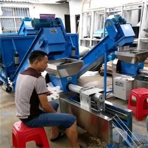 Almond Mushroom Automatic Bagging Production Line